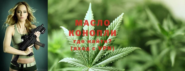 2c-b Горнозаводск