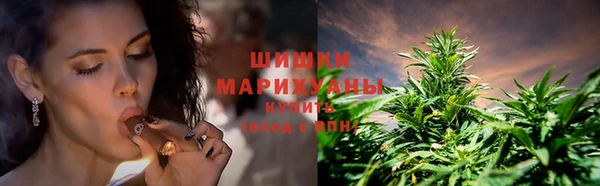 крисы Михайлов